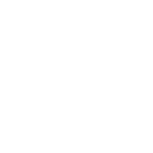 Website Accessibility icon